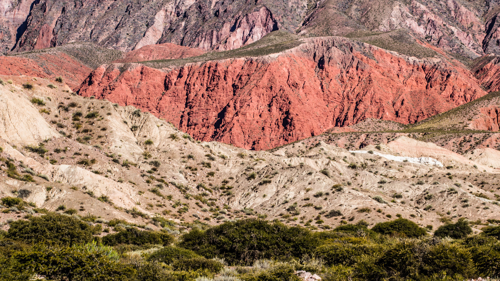 Northern Argentina Explorer