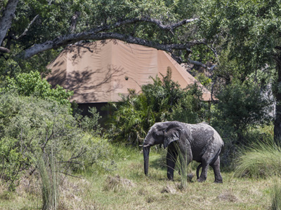 Okavango Delta