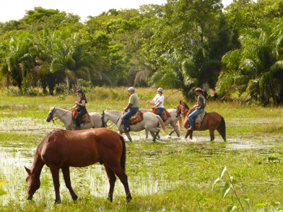 North Pantanal