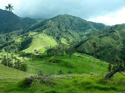 Villa De Leyva - Pereira - Quindio