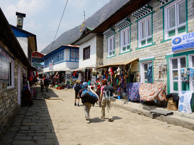 Kathmandu - Sherpa Village Trek