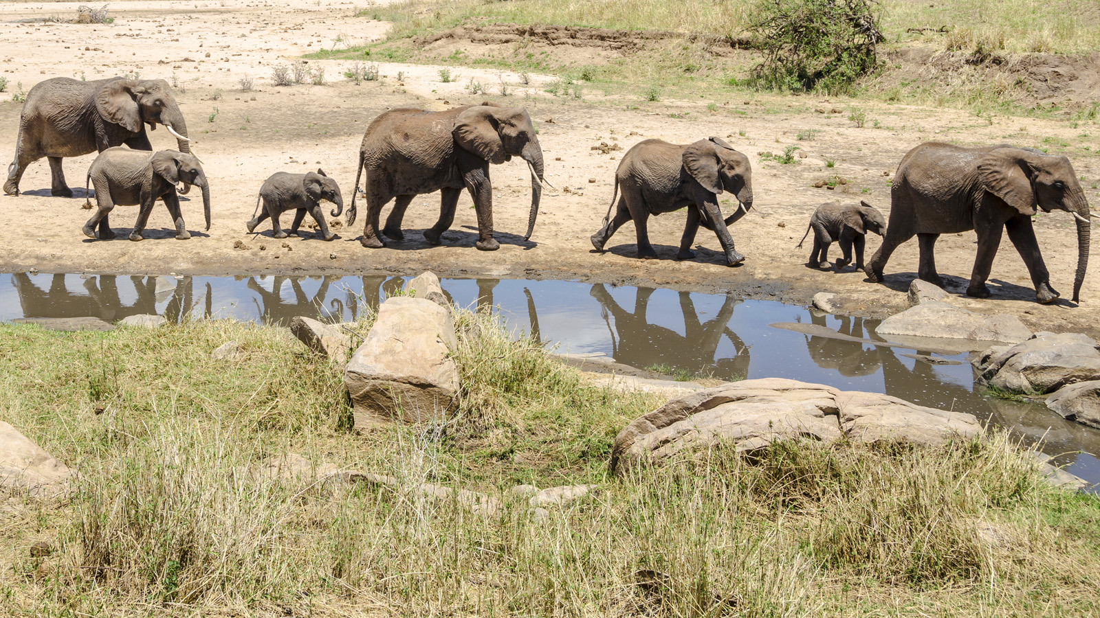 Wildlife Wonders Group Departure